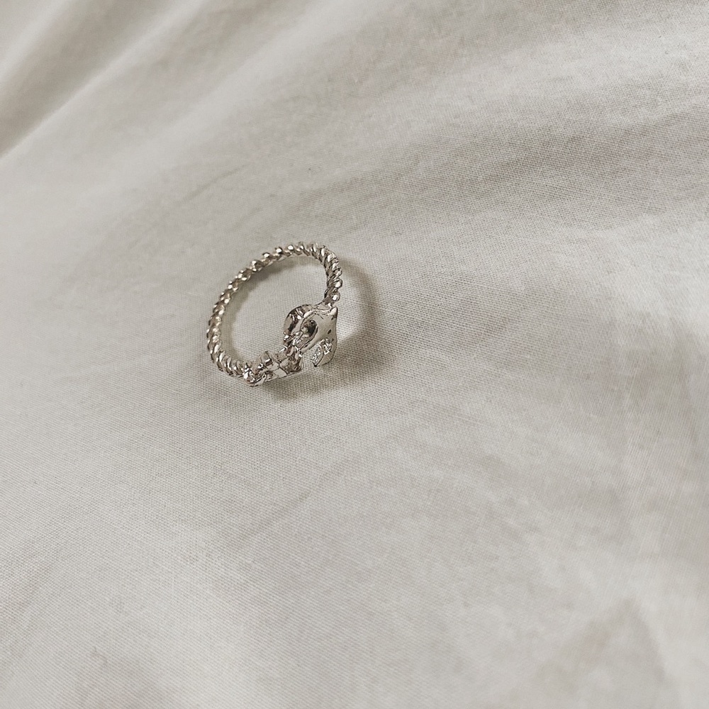 Silver Anchor Ring